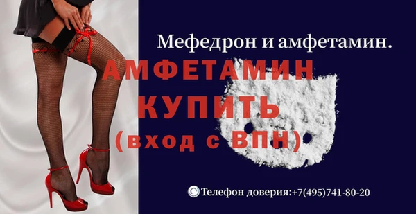 соль ск Дмитриев