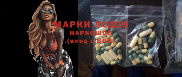 ПСИЛОЦИБИНОВЫЕ ГРИБЫ Ельня