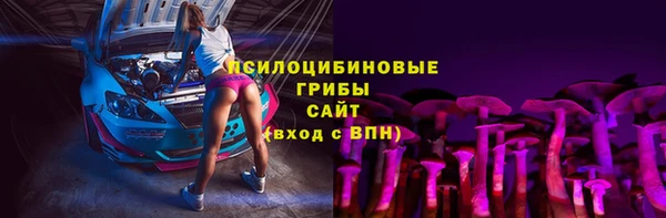 бошки Елизово