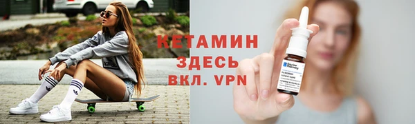 соль ск Дмитриев