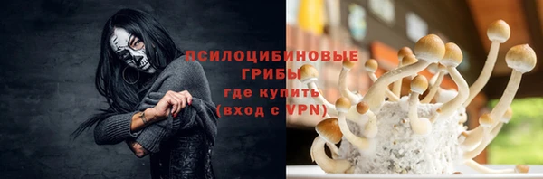 ешки Дмитров
