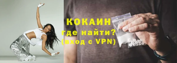 соль ск Дмитриев