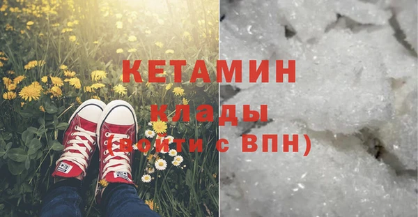 соль ск Дмитриев
