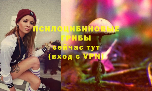 соль ск Дмитриев