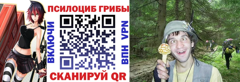 Галлюциногенные грибы Psilocybe  Купить где  Сертолово 